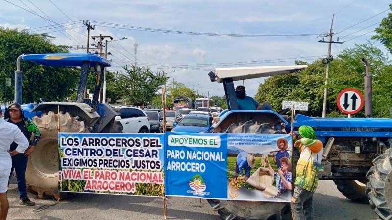 Arroceros del norte, sur y oriente del Perú realizarán paro este 25 de mayo