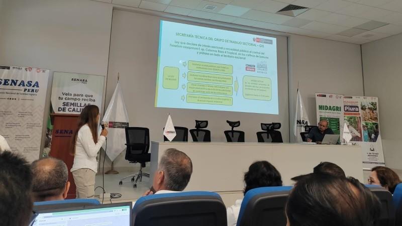 Articulan acciones para enfrentar la emergencia fitosanitaria del cultivo de banano