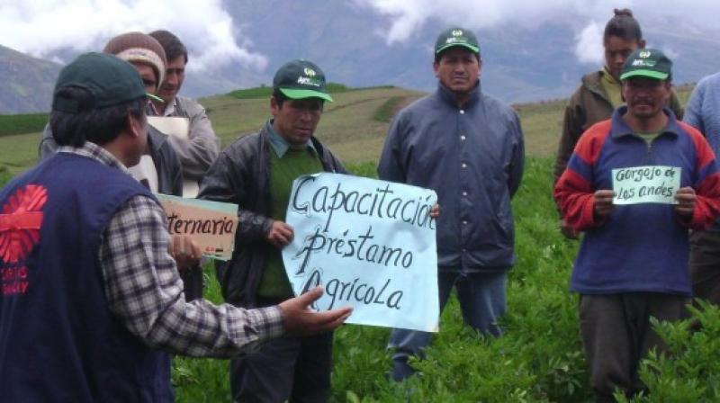 Asbanc: Préstamos al sector agropecuario crecieron 8.9% anual en enero 2018
