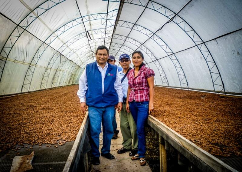 ASOCIACIÓN DE AMAZONAS VENDERÁ CACAO A US$4.100/TM A FIRMA ITALIANA