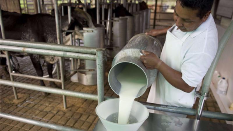 “Autoridades deben corregir todas las medidas inadecuadas del manejo de los productos lácteos que se han dado en nuestro país”