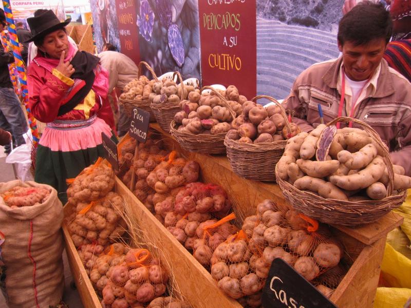 Ayacucho: 50% de clientes de Agrobanco cuenta con seguro agrícola
