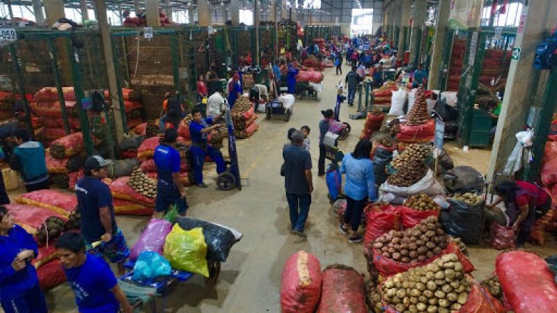 Ayer ingresaron 7.799 toneladas de alimentos en mercados mayoristas de Lima