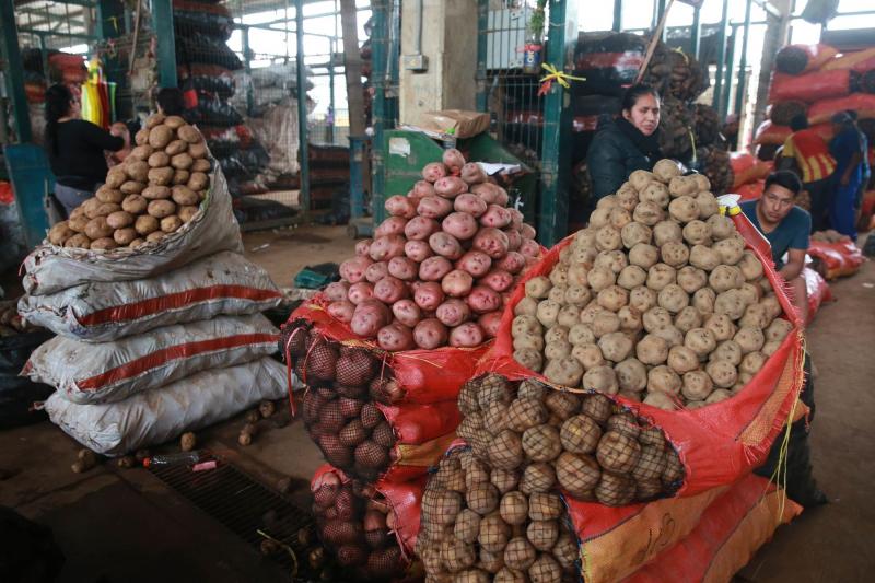 Ayer ingresaron 7.816 toneladas de alimentos al Mercado Mayorista de Lima