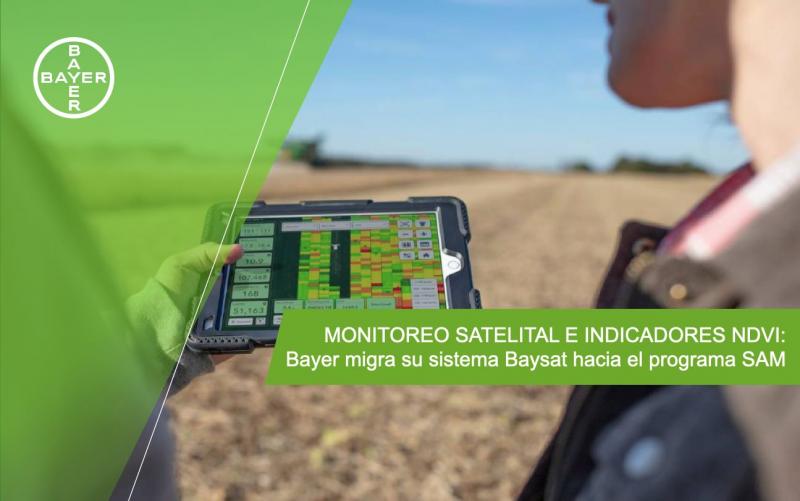 Bayer integrará imágenes satelitales con índices de vigorosidad (NDVI) para identificar anomalías, como complemento al monitoreo de plagas