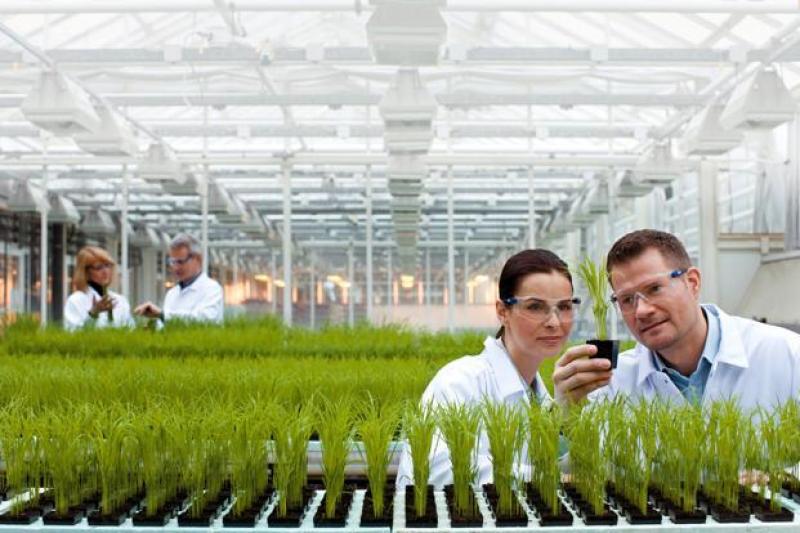 BAYER INVIERTE € 800 MILLONES ANUALES EN INVESTIGACIÓN PARA EL SECTOR AGRÍCOLA