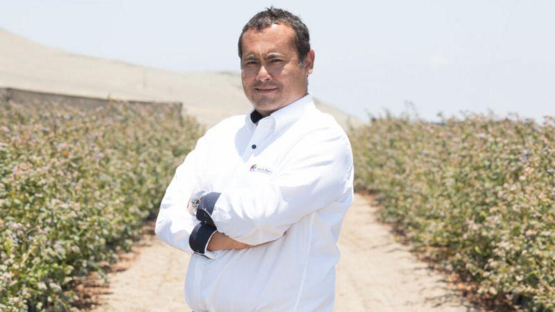 BBC destaca el rol de Carlos Gereda en el nacimiento de la boyante industria del arándano en Perú