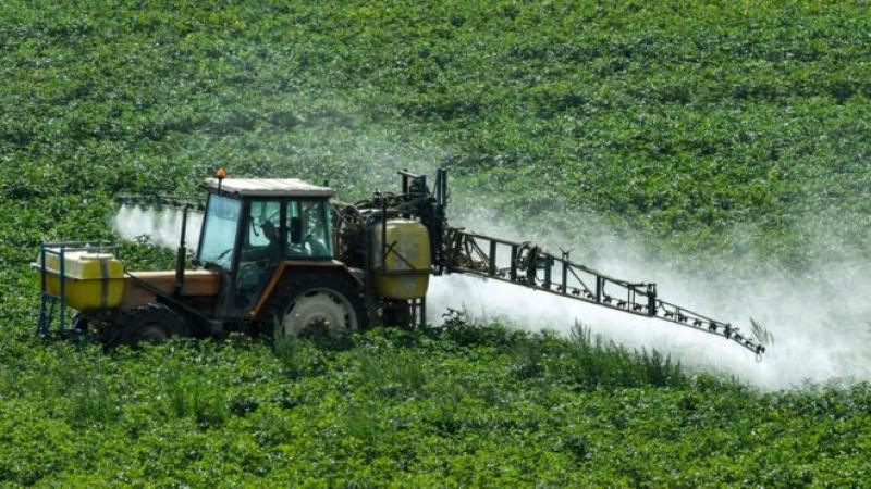 BBC: Qué es el glifosato, la sustancia presente en los herbicidas más usados del mundo por la cual Monsanto fue demandada