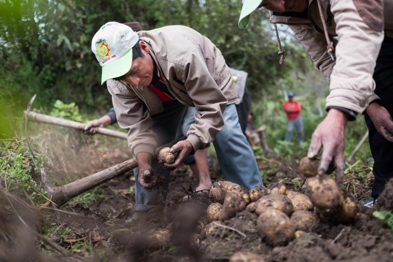 Bélgica aportó más de 100 millones de euros al sector agrícola peruano en los últimos 50 años