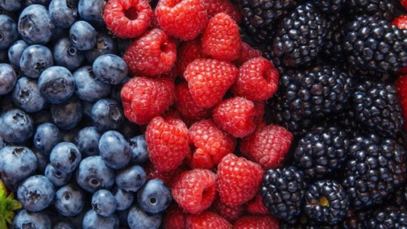 Berries conquistan a todas las generaciones en Estados Unidos