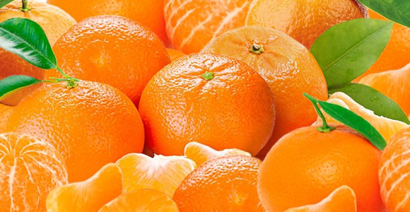 Beta proyecta producir 7 mil toneladas de mandarina y 5.400 toneladas de tangelo en la presente campaña