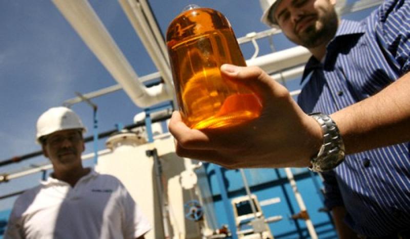 BIOCOMBUSTIBLES: CERTIFICACIÓN DESALIENTA LA PRODUCCIÓN A PEQUEÑA ESCALA