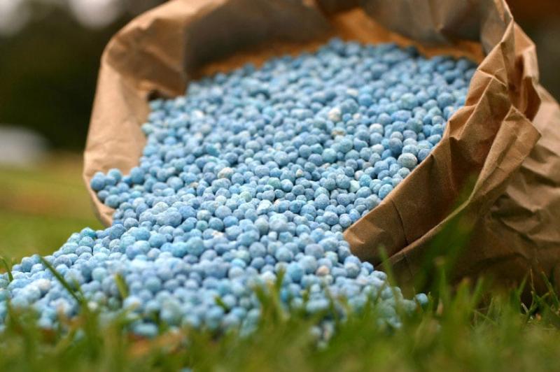 Brasil planea viaje de "diplomacia de fertilizantes" a Jordania, Egipto y Marruecos para asegurar importaciones