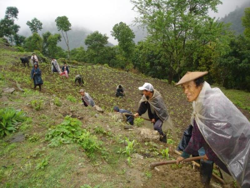 BUTÁN SERÍA EL PRIMER PAÍS DEL MUNDO CON AGRICULTURA 100% ORGÁNICA