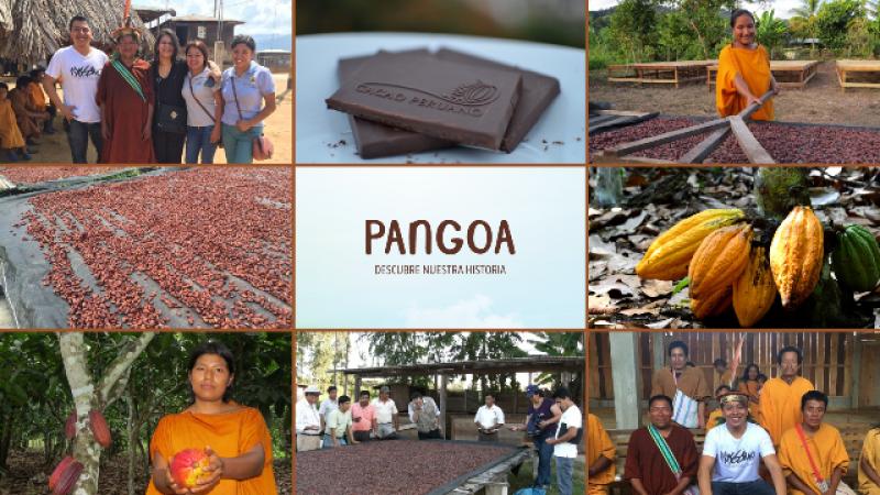 CAC Pangoa cerrará el año produciendo más de 300 toneladas de cacao