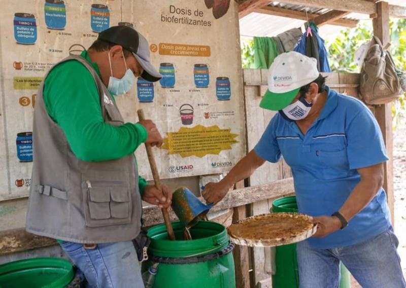 Cacaoteros de San Martín innovan con biofertilizantes de melaza de caña