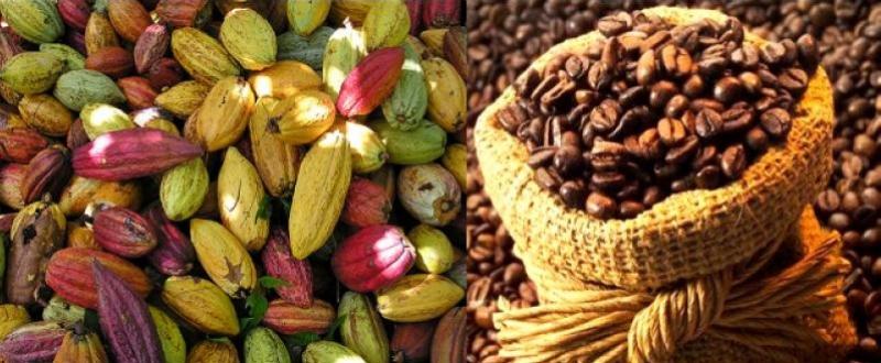 Café y cacao peruanos generan potencial de negocios de US$ 860 mil en feria alimentaria líder de Chile