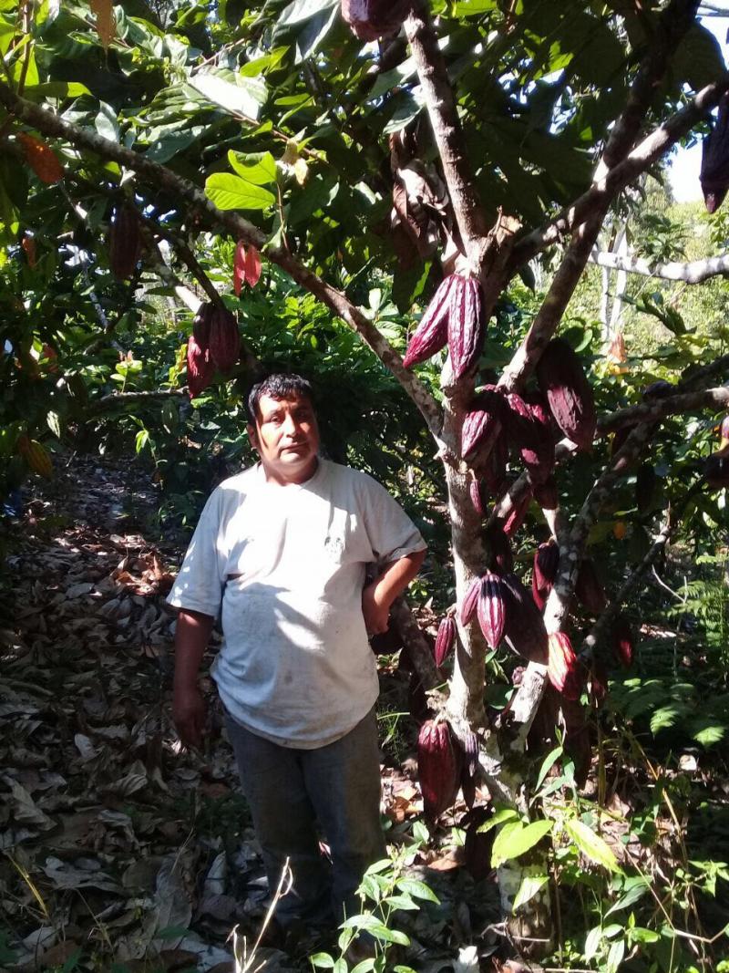 Cafetalera Amazónica promueve alianzas comerciales sostenibles entre cooperativas y el mercado global de cacao y café