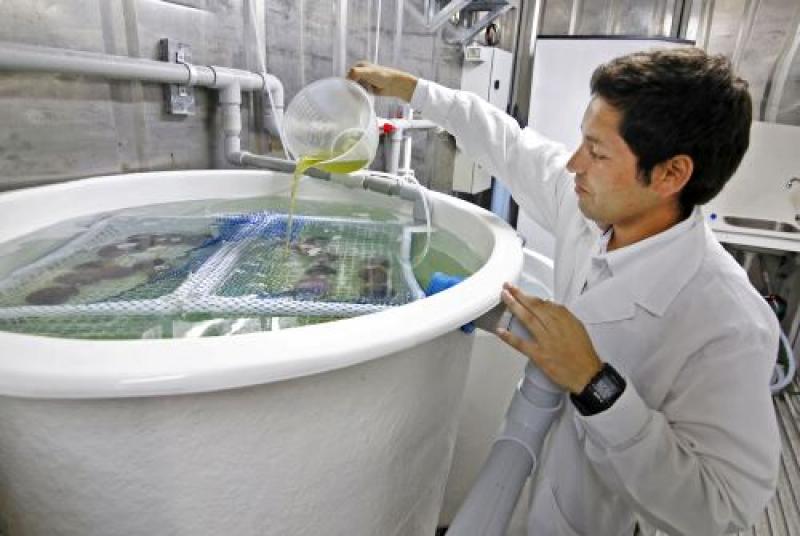 Cajamarca conformará alianzas para innovar en pesca y acuicultura