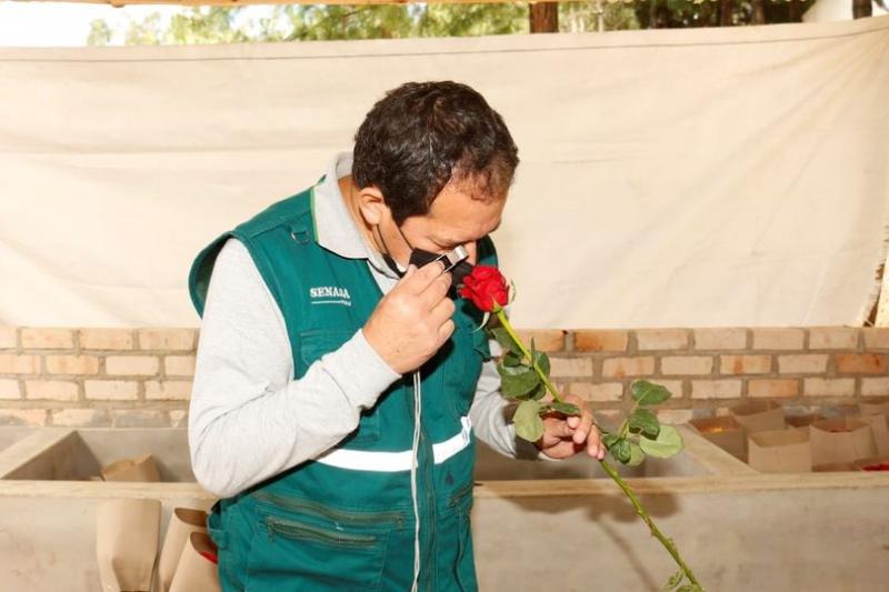Cajamarca exporta primer lote de rosas post pandemia