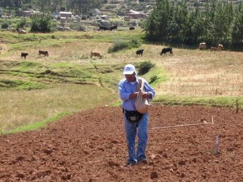 CAMBIO CLIMÁTICO AFECTA BIODIVERSIDAD Y SEGURIDAD ALIMENTARIA