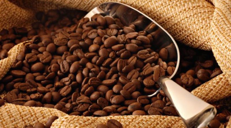 Cambio climático afectará producción de café arábigo en los próximos años