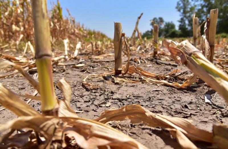 Campaña agrícola en grave riesgo por sequía en 17 regiones del país