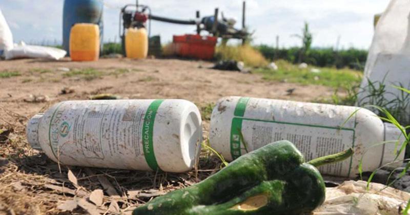 Campo Limpio lanzó proyecto “Manejo Responsable de Envases Vacíos de Agroquímicos en la Provincia de Huamanga, Región Ayacucho”
