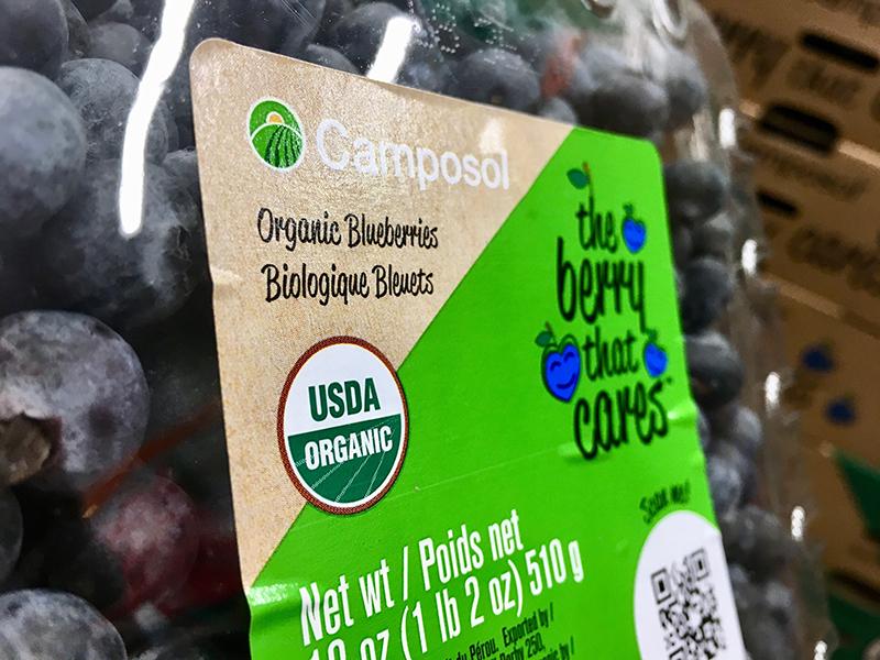Camposol contará con 200 hectáreas de arándanos con certificación USDA Organic al cierre de 2020