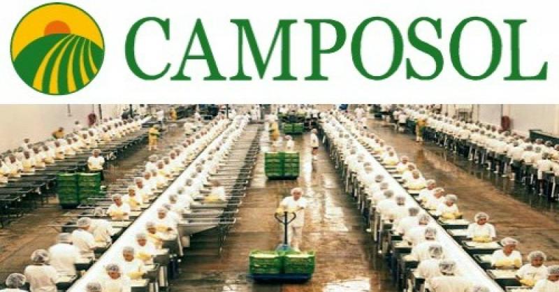 Camposol facturó más de US$ 174 millones en los primeros nueve meses del año