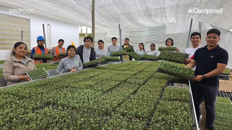 Camposol marca un hito con la producción de su primer millón de plantas de arándano