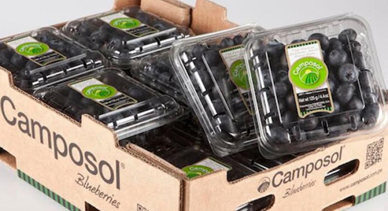 Camposol volverá a lanzar su línea de arándanos “The Berry That Cares” en Fruit Logistica de Berlín