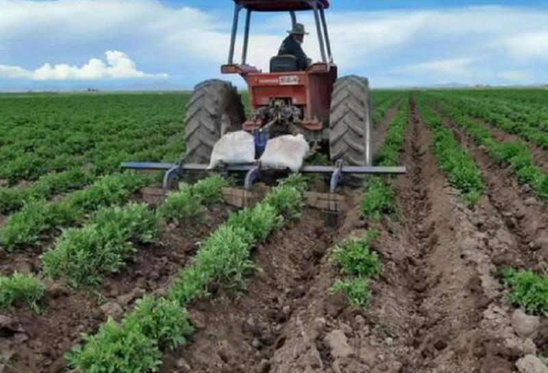 Cancillería y EY Perú presentan guía de negocios e inversión en el sector agricultura de nuestro país