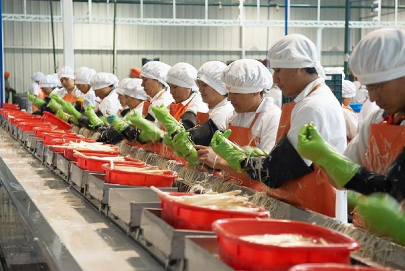 CARTERA DE PRODUCTOS DIVERSIFICADA AYUDA A MITIGAR IMPACTO DE “EL NIÑO”