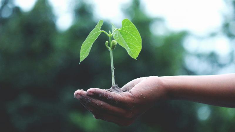 Cartón que renace: así funciona la economía circular en los empaques