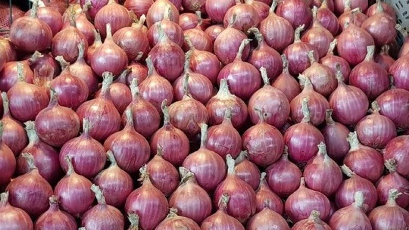 Cebolla peruana amplía mercados, pero mantiene precios históricamente bajos