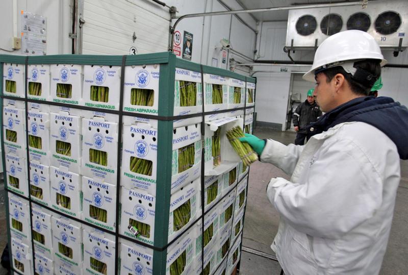 Centroamérica es buen mercado para envíos peruanos que no ingresaron a Estados Unidos por huracanes