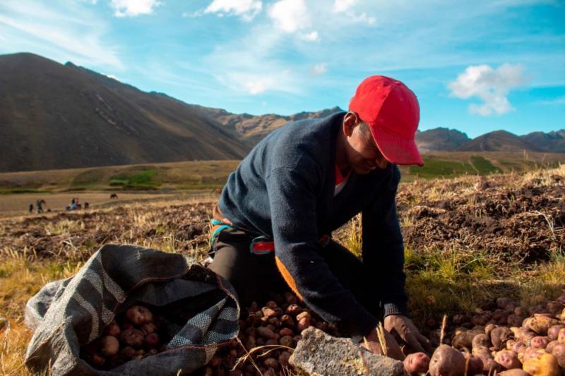 Ceplan organiza hoy conferencia internacional sobre el futuro agropecuario del Perú