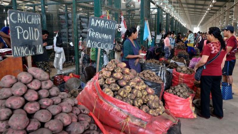 Cerca de 2.320.530 toneladas de alimentos frescos ingresaron al Gran Mercado Mayorista de Lima en 2020