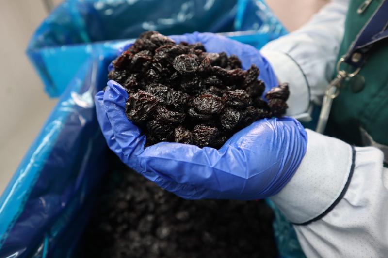 Certifican primeros envíos de pasas de uvas piuranas para exportación