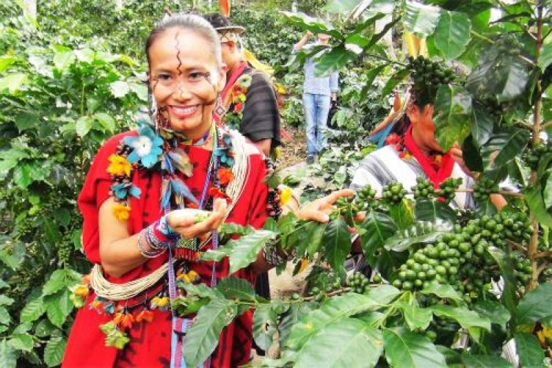 Chanchamayo: procesarán cafés finos en planta que funciona con energía solar
