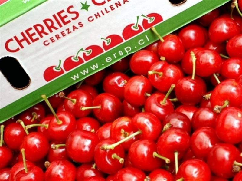 Chile continúa siendo el mayor exportador de cerezas impulsado por las ventas a China