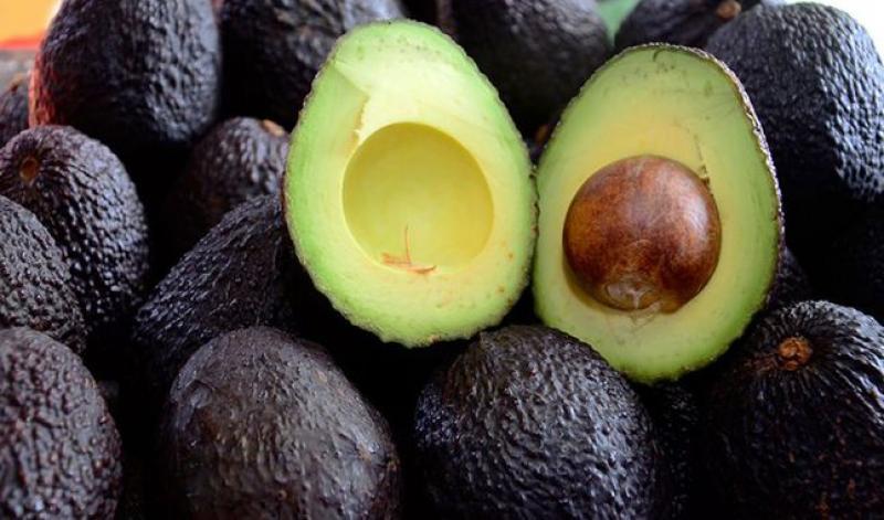 Chile opened its market for small Peruvian producers of avocado