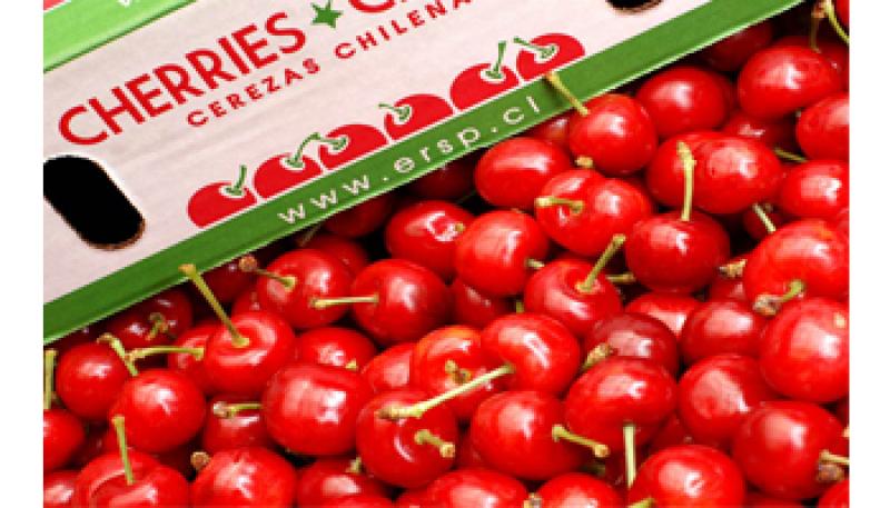 Chile proyecta exportar 30 millones de cajas de cerezas en la campaña 2017/2018