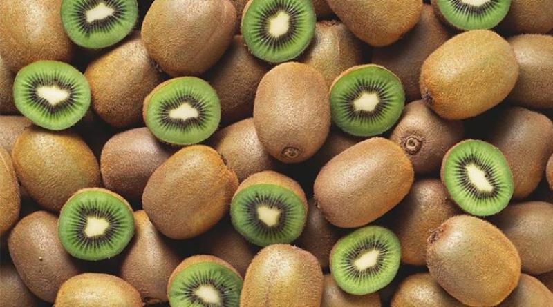 Chile se prepara para recibir a los principales países productores y exportadores de kiwi del mundo