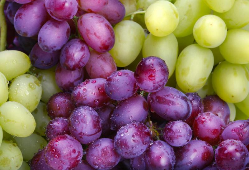 Chile y Perú: Unidos en impulsar el consumo de uva de mesa en Estados Unidos