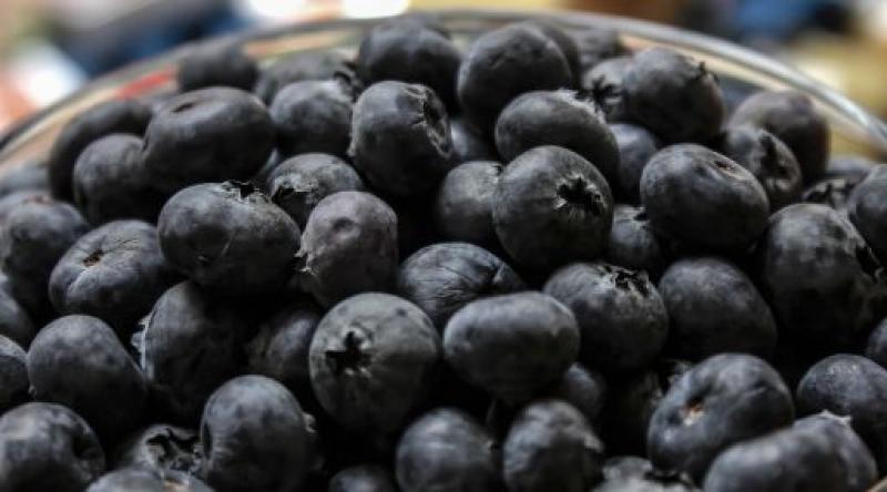 Chilena Hortifruit controlará al mayor productor de arándanos de Perú