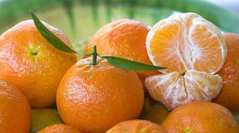 China cosechó 20 millones de toneladas de mandarinas