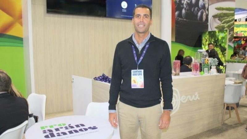 China, Estados Unidos y Europa marcan el pulso de la campaña peruana de arándanos y uvas