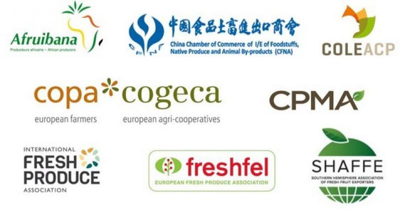 Coalición Mundial de Asociaciones de Comercio de Frutas y Hortalizas hará frente a los aumentos de los costos que impactan a la industria